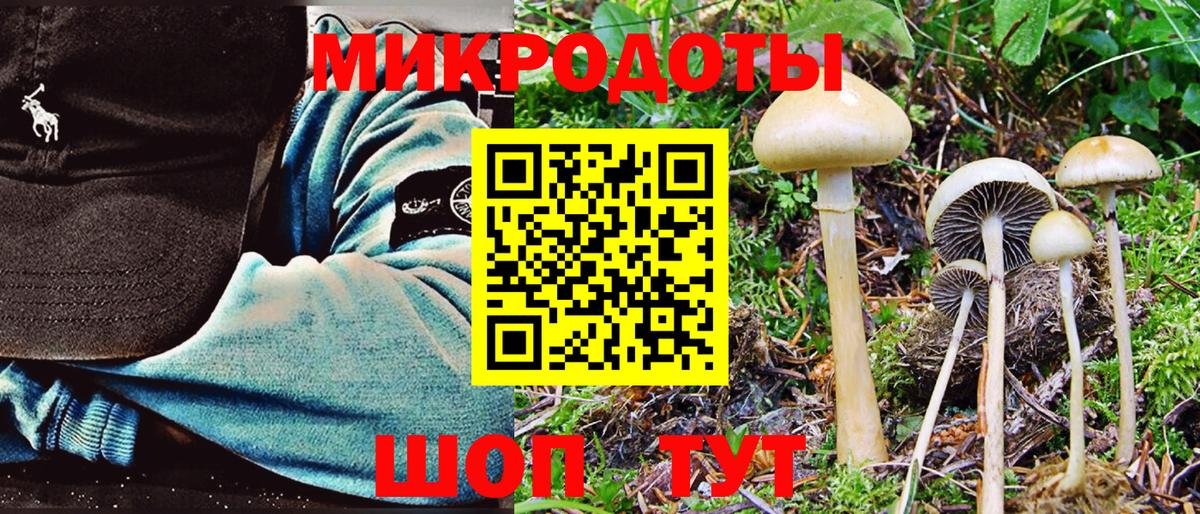 Псилоцибиновые грибы прущие грибы Воткинск